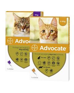 Advocate para Gatos y Hurones Bayer