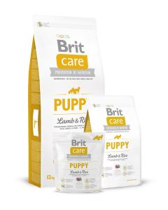 Brit Care Cordero y Arroz Grain Free para Cachorros