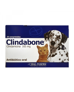 Clindabone 165 mg (Clindamicina) 