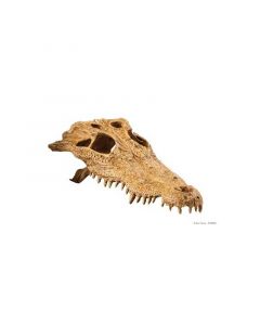 Escondite Fósil Crocodile Skull Exo Terra