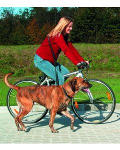 Correa de Bicicleta y Footing para Perros