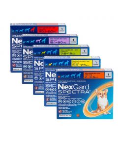 NexGard Spectra Antiparasitario - 1 tableta