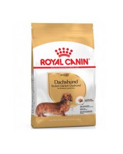 Royal Canin Dachshund Adulto