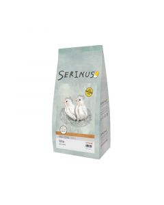 Serinus Papilla White Hand Feeding