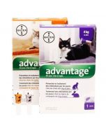 Advantage Pipeta Antipulgas para Gatos