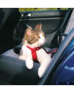 Arnés de Automóvil para Gatos