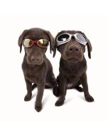 Gafas de Sol "Doggles ILS" con Filtro UV para Perros