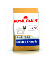 Royal Canin Bulldog Francés Adulto